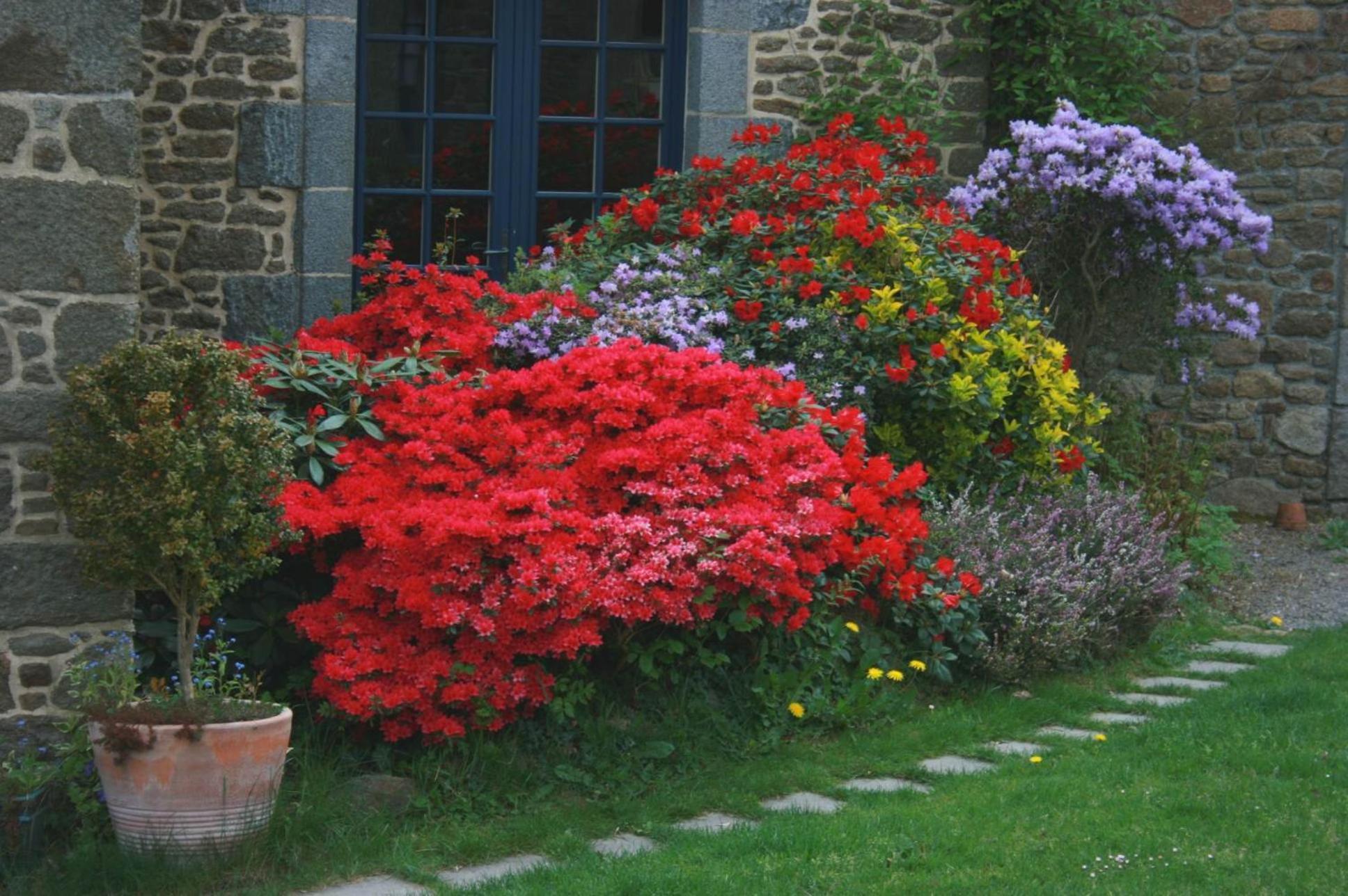 Au Pont Ricoul Bed & Breakfast Saint-Pierre-de-Plesguen Exterior photo