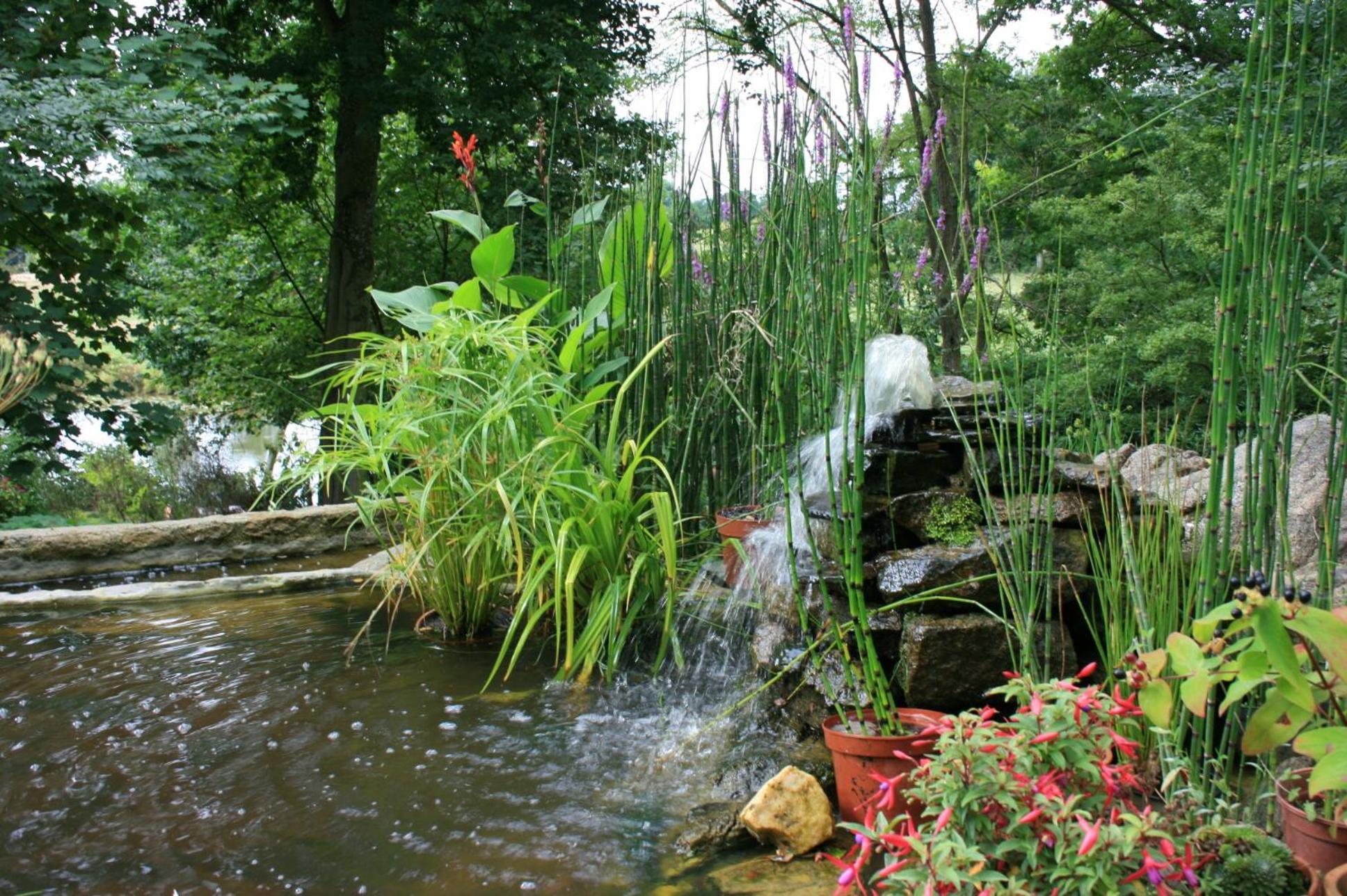 Au Pont Ricoul Bed & Breakfast Saint-Pierre-de-Plesguen Exterior photo