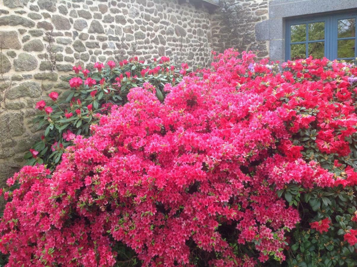 Au Pont Ricoul Bed & Breakfast Saint-Pierre-de-Plesguen Exterior photo